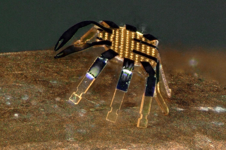 Представлен самый маленький робот с дистанционным управлением — всего 0,5 мм в диаметре