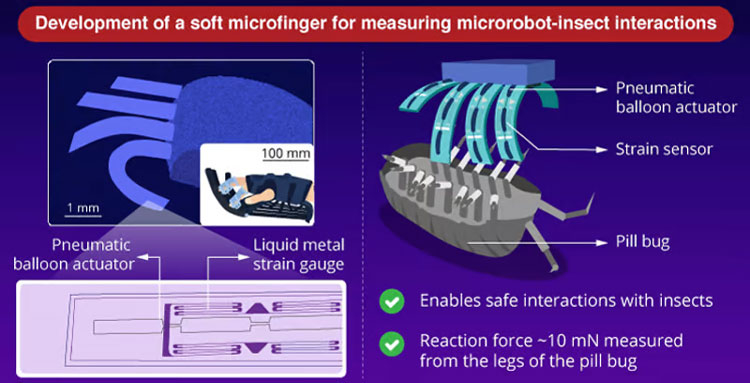 Учёные создали микроскопическую роболадонь с 12-мм пальцами и потрогали ей мокрицу
