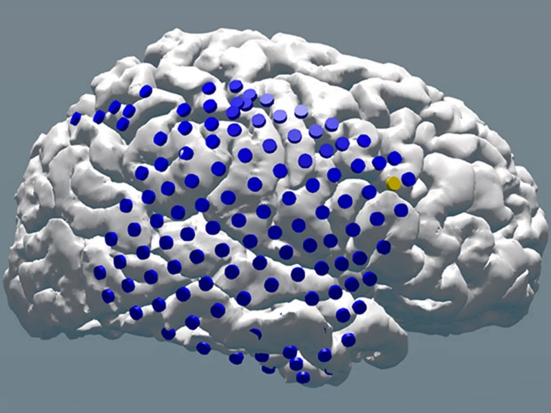 Brain Computer Interfaces в разрезе: и нейрон с контактом говорит