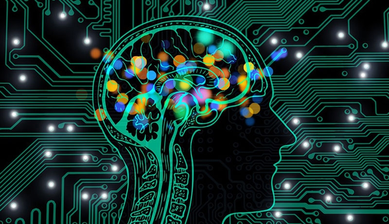 Ажиотаж вокруг мозгового импланта Neuralink Илона Маска помог ускорить разработки этой технологии 